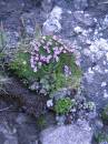 Dolomites_2007___47.jpg