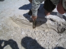 Ryan trenching the interdune area