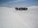 Group discussion
