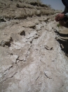 White_Sands_2008___37.jpg