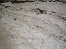 White_Sands_2008___38.jpg