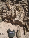 Gypsum crystals formed in alluvial deposits