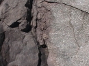 Dike at Cucharas River crossing on CO12  Contact zone very closeup  