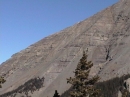 West Spanish Peak flank  from TR1390 trail  