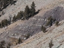 Erosional canyon exposing layering  on flank of West Spanish Peak  