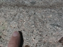 Detail of porphyritic dike material  showing small phenocrysts in aphanitic matrix  