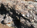 Fused conglomerate  on flank of West Spanish Peak  