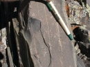 Jointed metamorphics(?) detail  on shoulder of West Spanish Peak  
