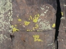 Brilliant lichen  on West Spanish Peak  
