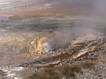 Geyser in West Thumb Geyser Basin