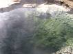 Clear pool in Lower Geyser Basin