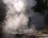 Rediscovered Geyser reactivation event  Norris Geyser Basin