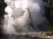 Rediscovered Geyser reactivation event  Norris Geyser Basin  Height estimate: ~3 meters  
