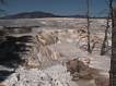 Main Terrace  Mammoth Hot Springs