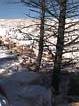 Terraces below Canary Spring  Mammoth Hot Springs